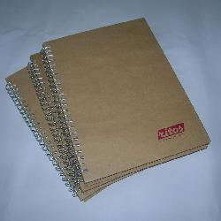 Agenda spiralata Cluj